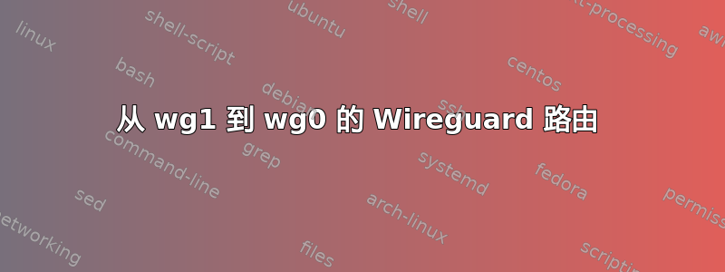 从 wg1 到 wg0 的 Wireguard 路由