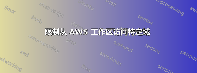 限制从 AWS 工作区访问特定域