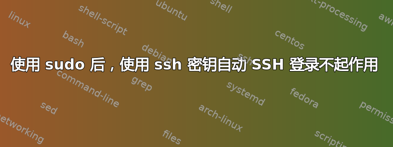 使用 sudo 后，使用 ssh 密钥自动 SSH 登录不起作用