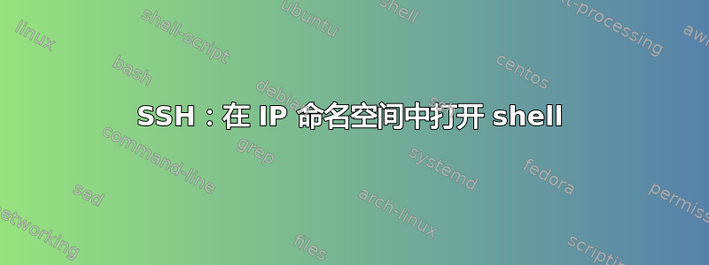 SSH：在 IP 命名空间中打开 shell