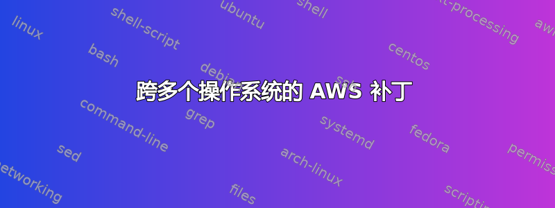 跨多个操作系统的 AWS 补丁