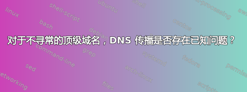 对于不寻常的顶级域名，DNS 传播是否存在已知问题？