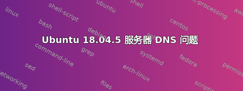 Ubuntu 18.04.5 服务器 DNS 问题