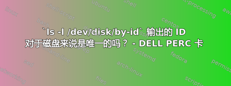 `ls -l /dev/disk/by-id` 输出的 ID 对于磁盘来说是唯一的吗？ - DELL PERC 卡