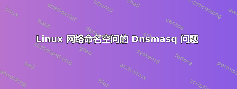 Linux 网络命名空间的 Dnsmasq 问题