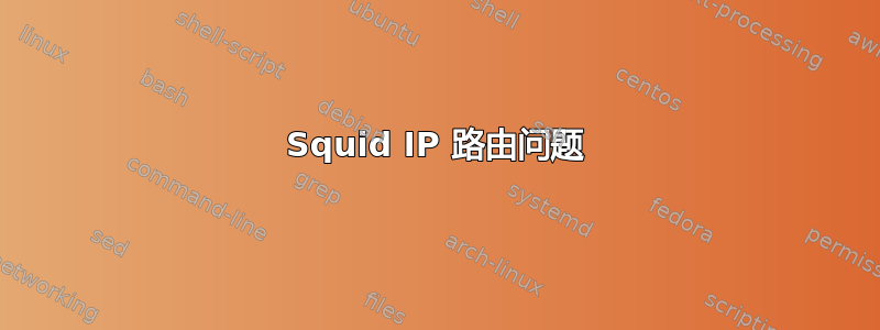 Squid IP 路由问题