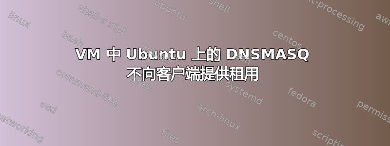 VM 中 Ubuntu 上的 DNSMASQ 不向客户端提供租用