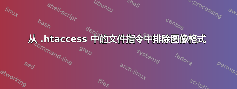 从 .htaccess 中的文件指令中排除图像格式