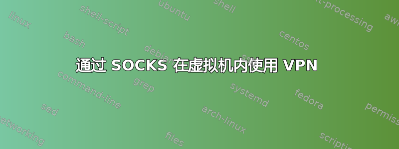 通过 SOCKS 在虚拟机内使用 VPN