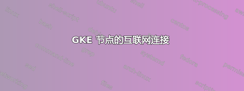 GKE 节点的互联网连接