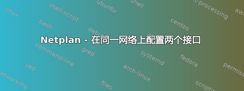 Netplan - 在同一网络上配置两个接口