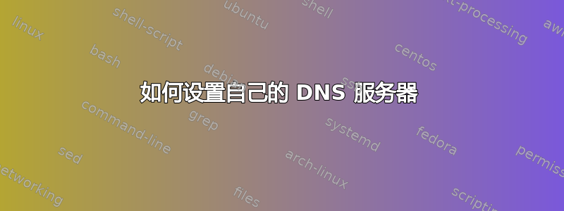 如何设置自己的 DNS 服务器