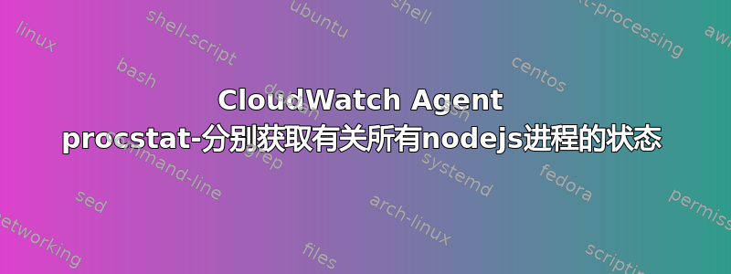 CloudWatch Agent procstat-分别获取有关所有nodejs进程的状态