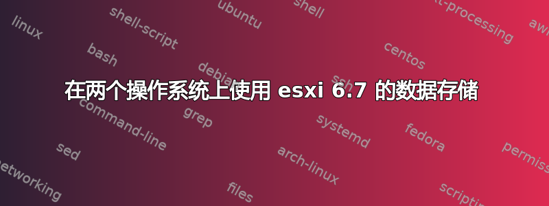 在两个操作系统上使用 esxi 6.7 的数据存储