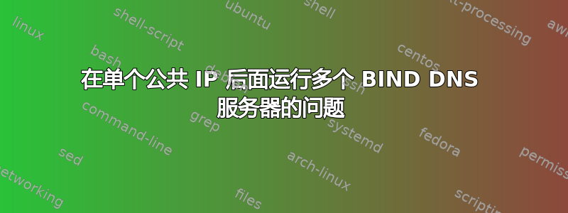 在单个公共 IP 后面运行多个 BIND DNS 服务器的问题