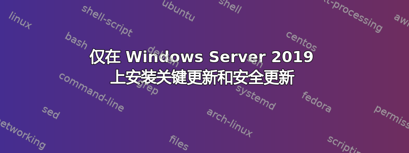 仅在 Windows Server 2019 上安装关键更新和安全更新