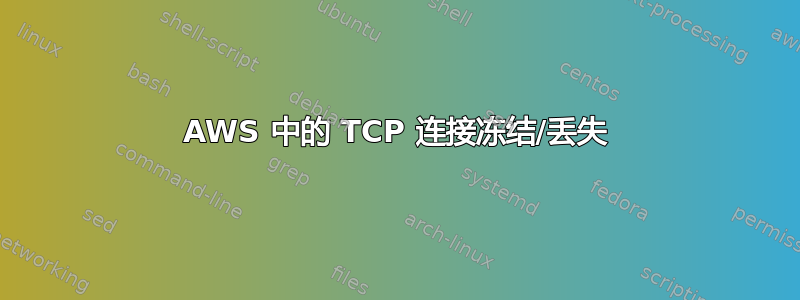 AWS 中的 TCP 连接冻结/丢失