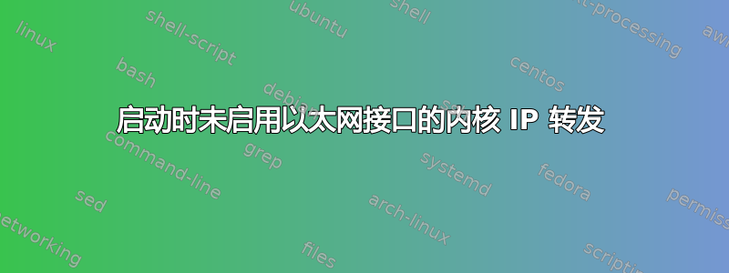 启动时未启用以太网接口的内核 IP 转发