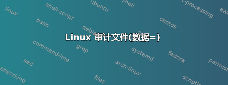 Linux 审计文件(数据=)