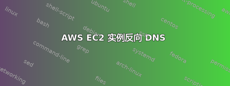 AWS EC2 实例反向 DNS