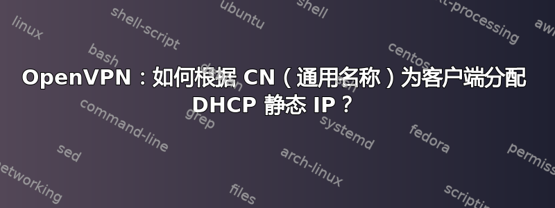 OpenVPN：如何根据 CN（通用名称）为客户端分配 DHCP 静态 IP？