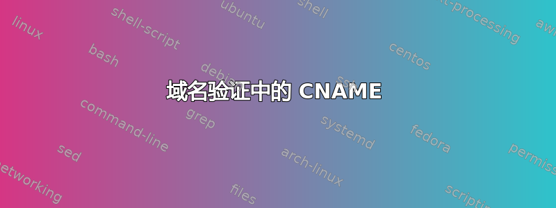 域名验证中的 CNAME