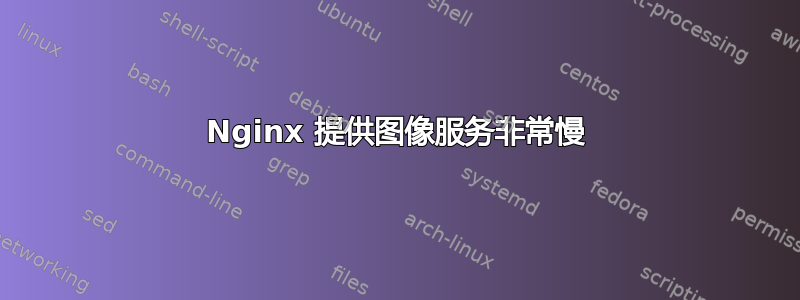 Nginx 提供图像服务非常慢