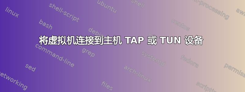 将虚拟机连接到主机 TAP 或 TUN 设备