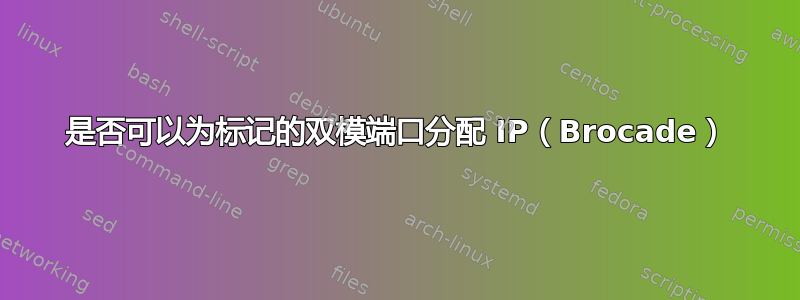 是否可以为标记的双模端口分配 IP（Brocade）