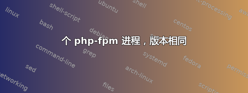 2 个 php-fpm 进程，版本相同