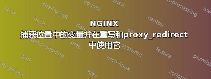 NGINX 捕获位置中的变量并在重写和proxy_redirect 中使用它