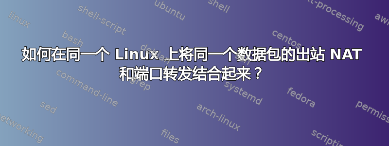 如何在同一个 Linux 上将同一个数据包的出站 NAT 和端口转发结合起来？