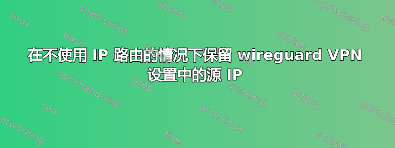 在不使用 IP 路由的情况下保留 wireguard VPN 设置中的源 IP