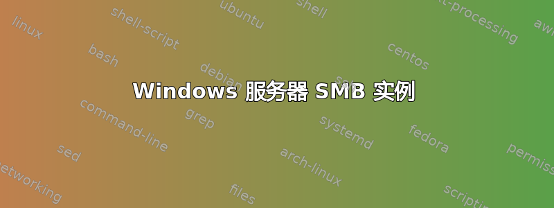 Windows 服务器 SMB 实例