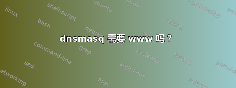 dnsmasq 需要 www 吗？