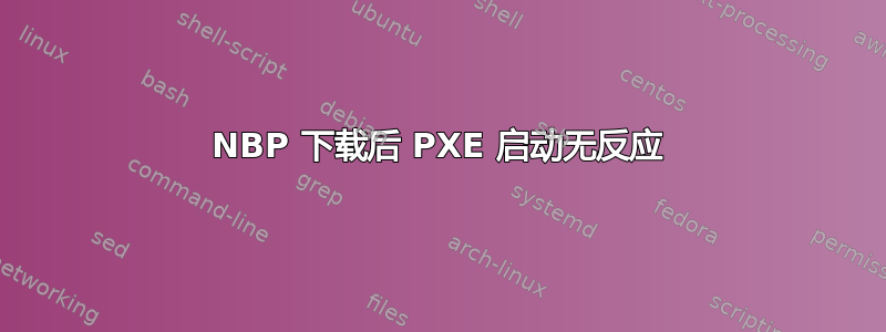 NBP 下载后 PXE 启动无反应