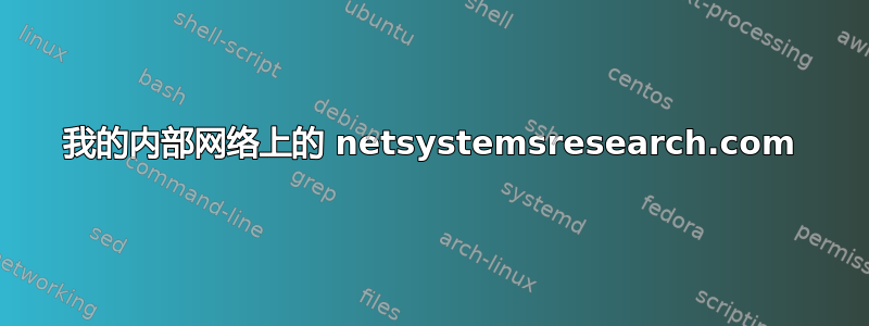 我的内部网络上的 netsystemsresearch.com