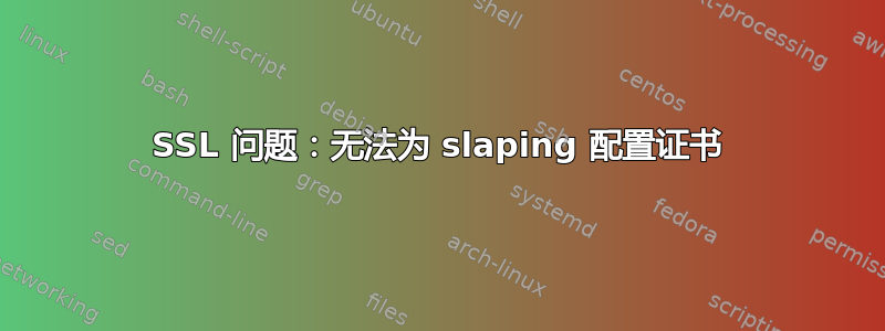 SSL 问题：无法为 slaping 配置证书