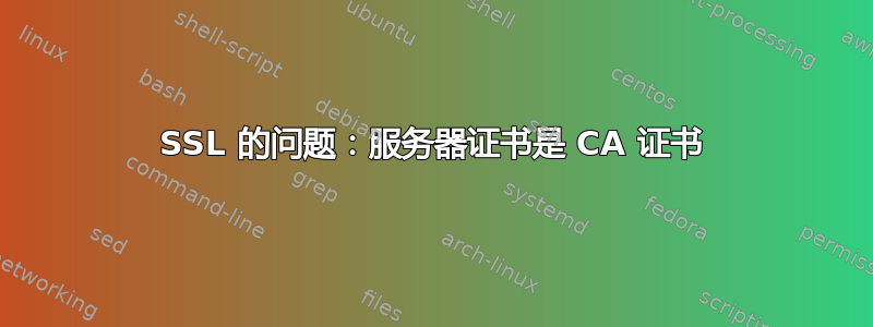 SSL 的问题：服务器证书是 CA 证书