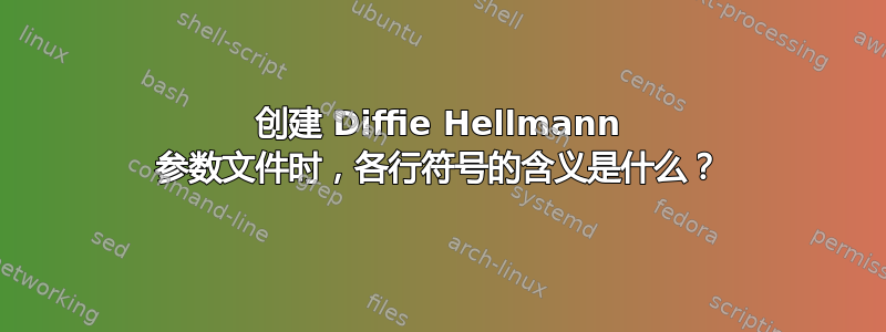 创建 Diffie Hellmann 参数文件时，各行符号的含义是什么？