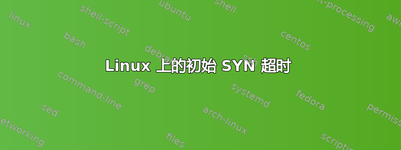 Linux 上的初始 SYN 超时