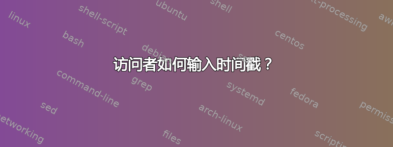 访问者如何输入时间戳？