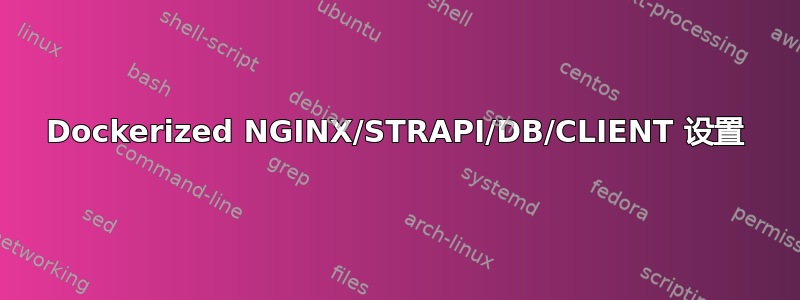 Dockerized NGINX/STRAPI/DB/CLIENT 设置