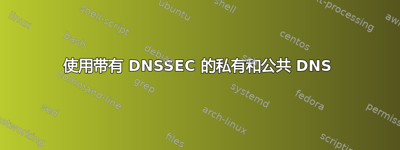 使用带有 DNSSEC 的私有和公共 DNS