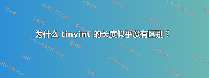 为什么 tinyint 的长度似乎没有区别？