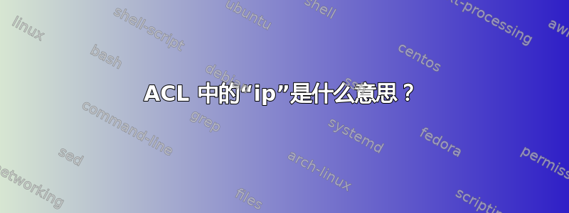 ACL 中的“ip”是什么意思？