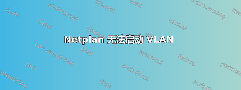 Netplan 无法启动 VLAN