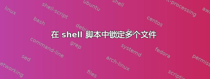 在 shell 脚本中锁定多个文件