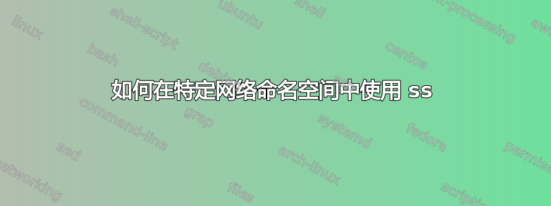 如何在特定网络命名空间中使用 ss