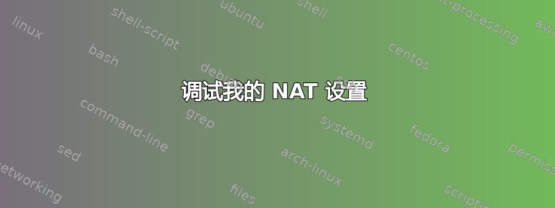 调试我的 NAT 设置